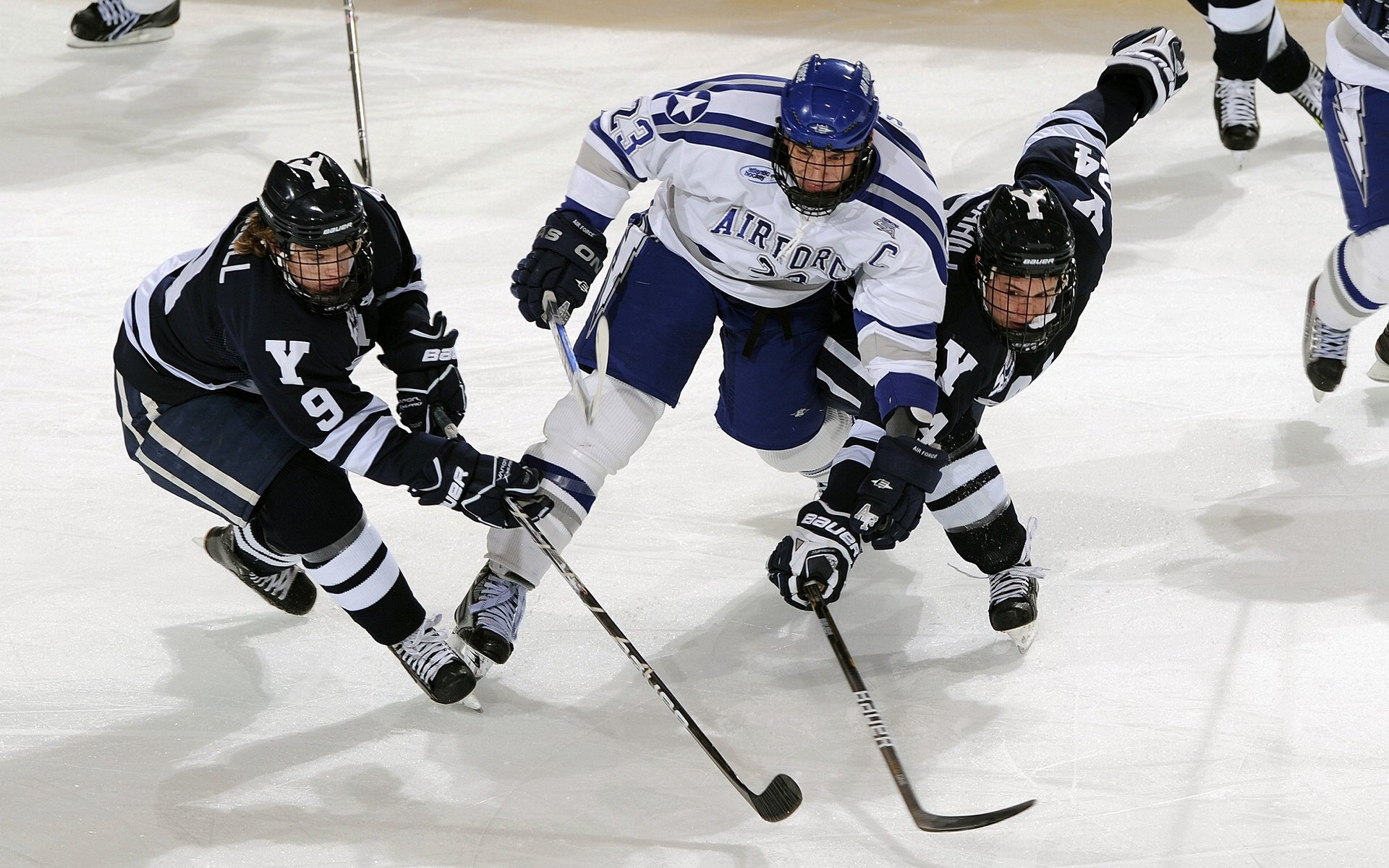 中国篮球的荣耀属于每一个热爱者，中国篮球队荣誉